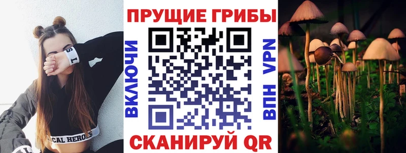Псилоцибиновые грибы прущие грибы  ОМГ ОМГ как зайти  Шилка  наркошоп 
